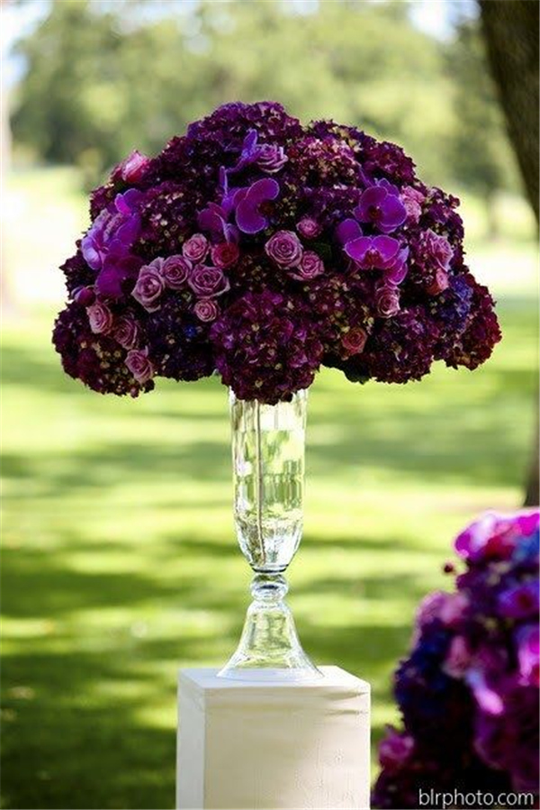 35 Dark Purple Wedding Color Ideas for Fall/Winter Weddings | Deer