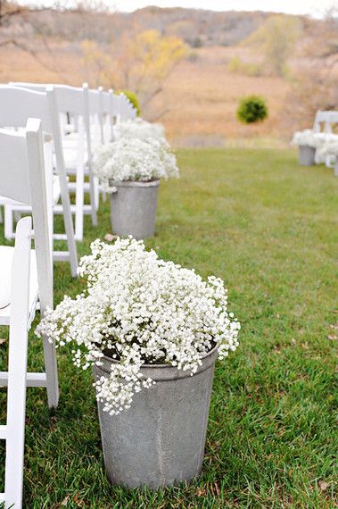 Baby's Breath in aluminum buckets