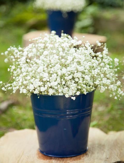 Navy And White Baby Breath Wedding Ideas