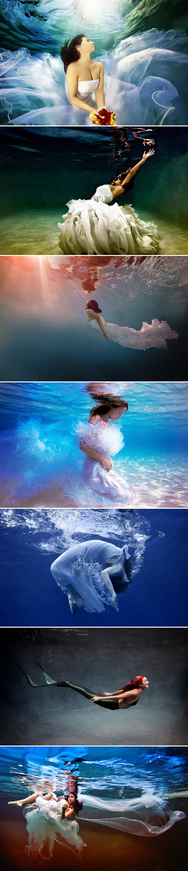 Underwater Brides Pictures