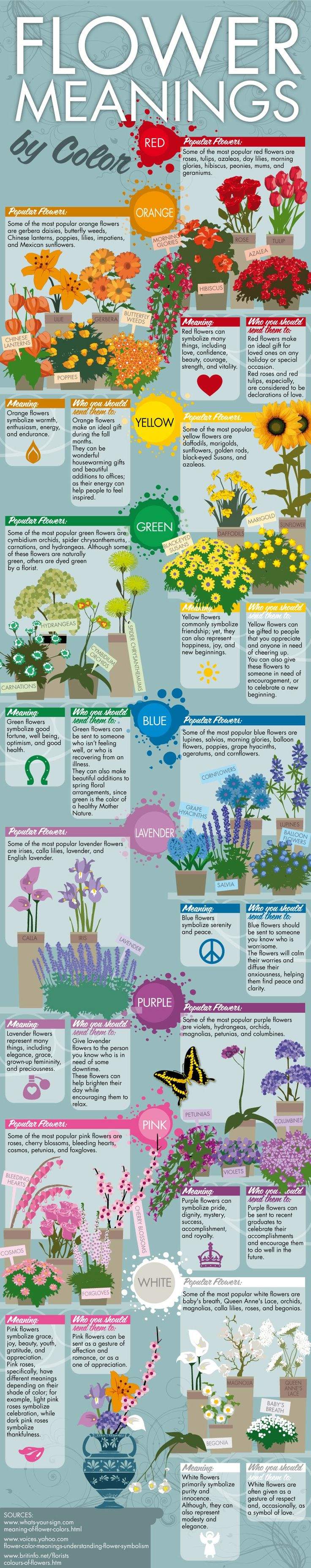 Wedding Flowers- Flower Meaning 101