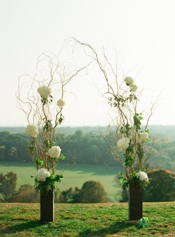 branch and white hydrangea wedding arch idea