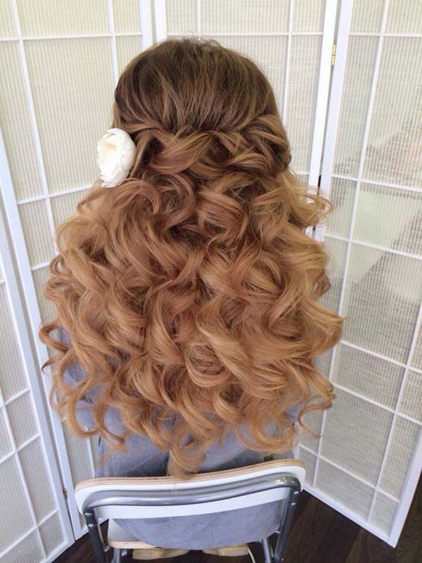 Top 26 Wedding Hairstyles for Long Hair Down 24 half up half down wedding hairstyles via antonina roman