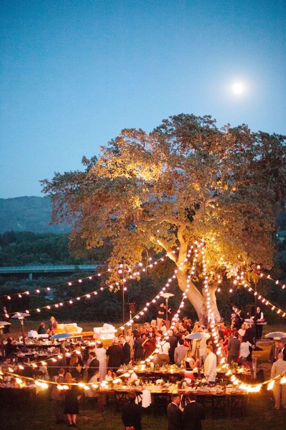 rustic outdoor wedding decor with eclectic light