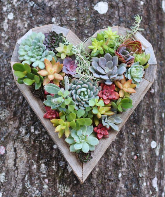 rustic succulent heart wedding decor ideas