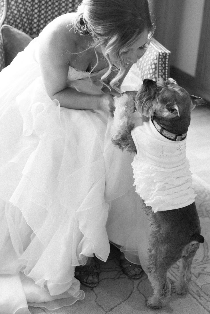 Bride with her Dog