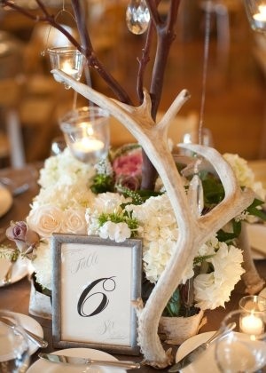 Country wedding ideas-Antlers for decoration