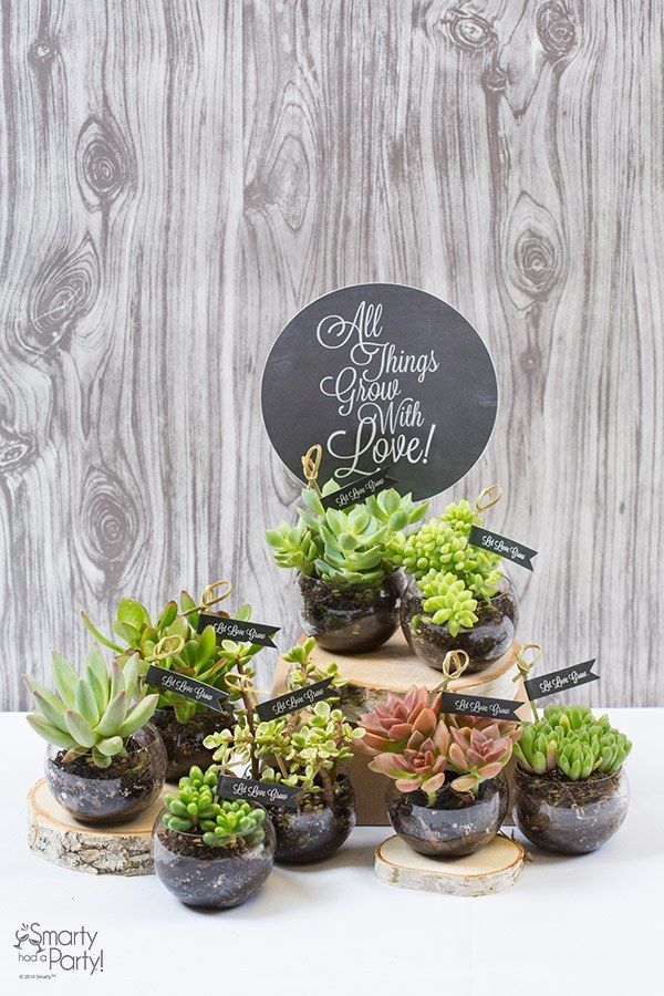DIY succulent wedding favors