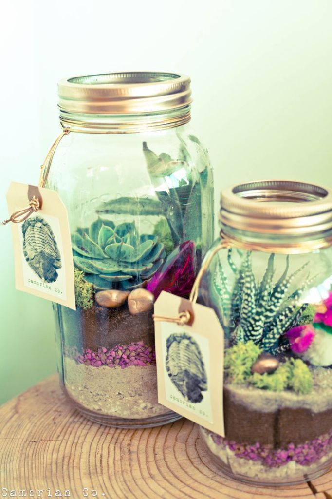 DIY wedding favor ideas-Terrariums in a mason jar