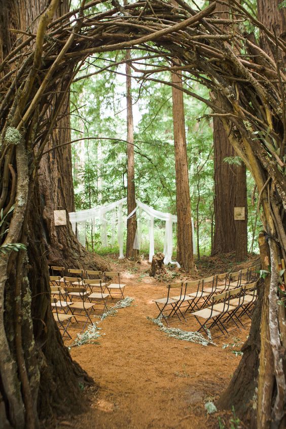 Enchanting Woodland Wedding Ceremony in the Redwoods