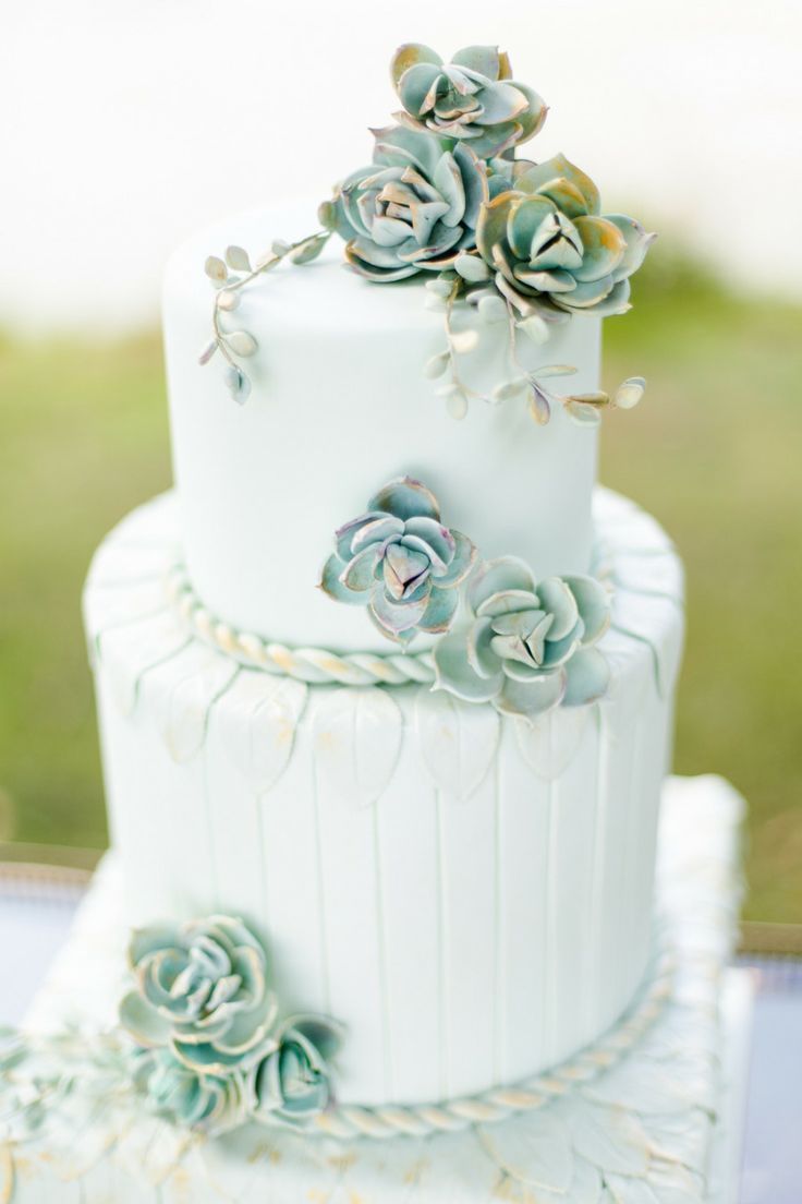 Grayed Jade Green Succulent Wedding Cake