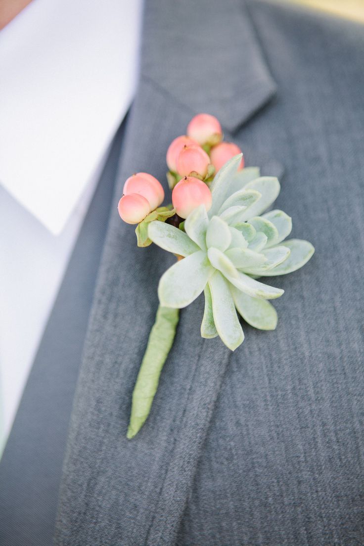 Hypericum Berries Succulent boutonnier