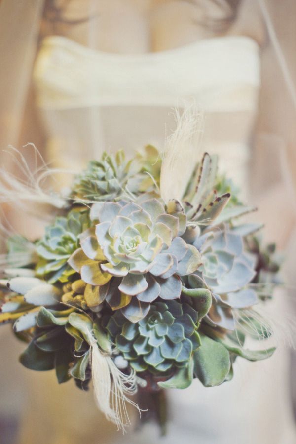 Mixed succulents and feathers bouquet for wedding