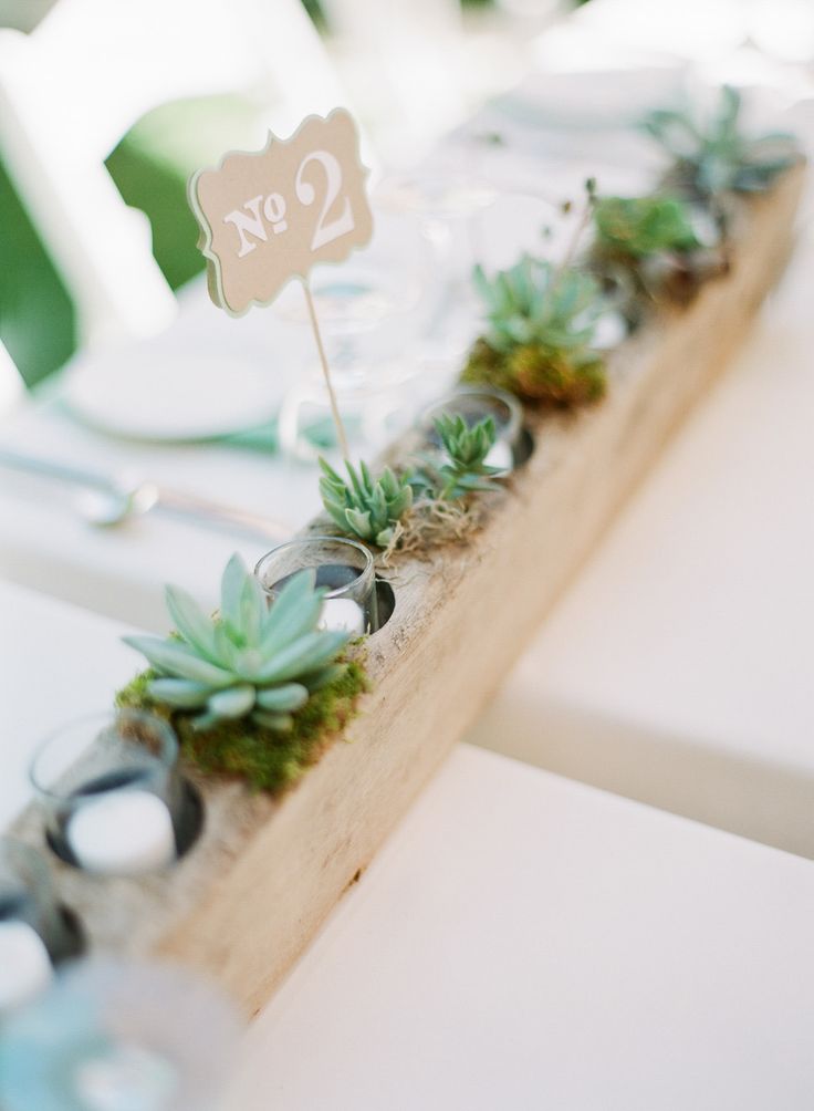 Rows of alternating Succulents and Votives