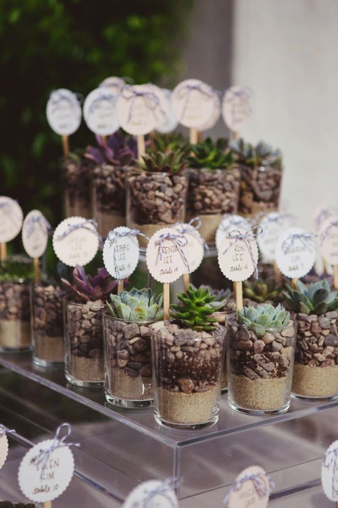 Rustic Wedding Favor Ideas-Succulent Wedding Favors