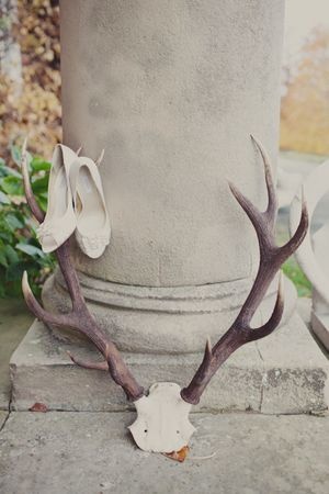 Shoes on antlers