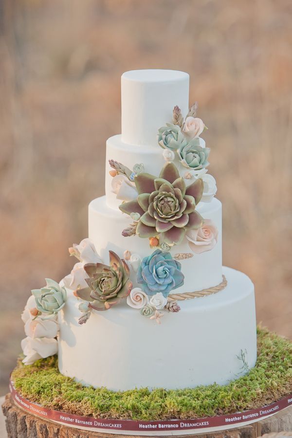 Succulent Wedding Cake for Garden Wedding