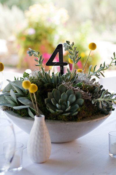 Succulent Wedding Centerpiece With Table Number Surrounded