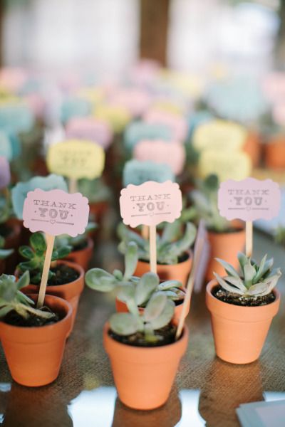 Succulent plant favors with thank you card