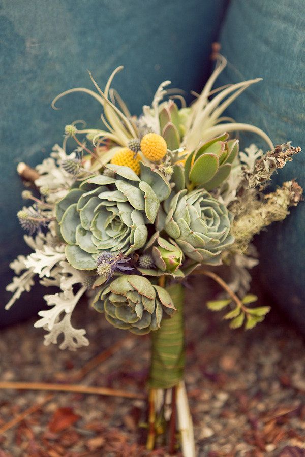 Succulents dusty miller and xerographica bouquet for rustic wedding