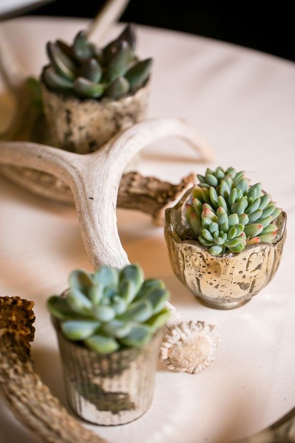 Succulents in tiny mercury glass votives alongside branch and antlers