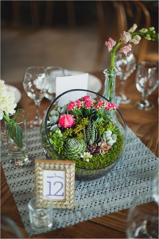 Table number and mini succulent and cactus garden centerpieces