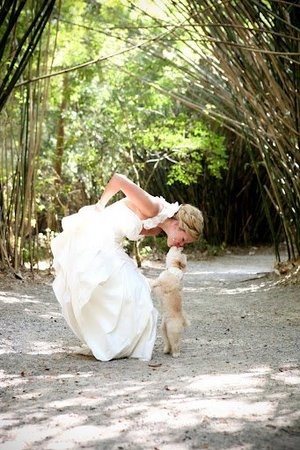 The bride and her best dog