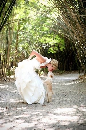 54 Photos of Dogs at Weddings That Are Almost Too Cute for Words 4 The bride and her best dog