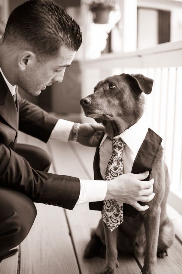 Unique Wedding Photos - Creative Dog in Wedding Pictures