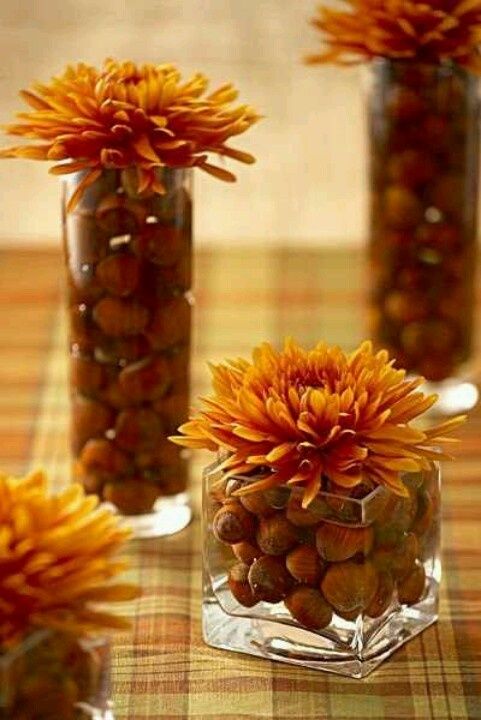 fall wedding centerpiece-vases with hazelnuts and top with a flower