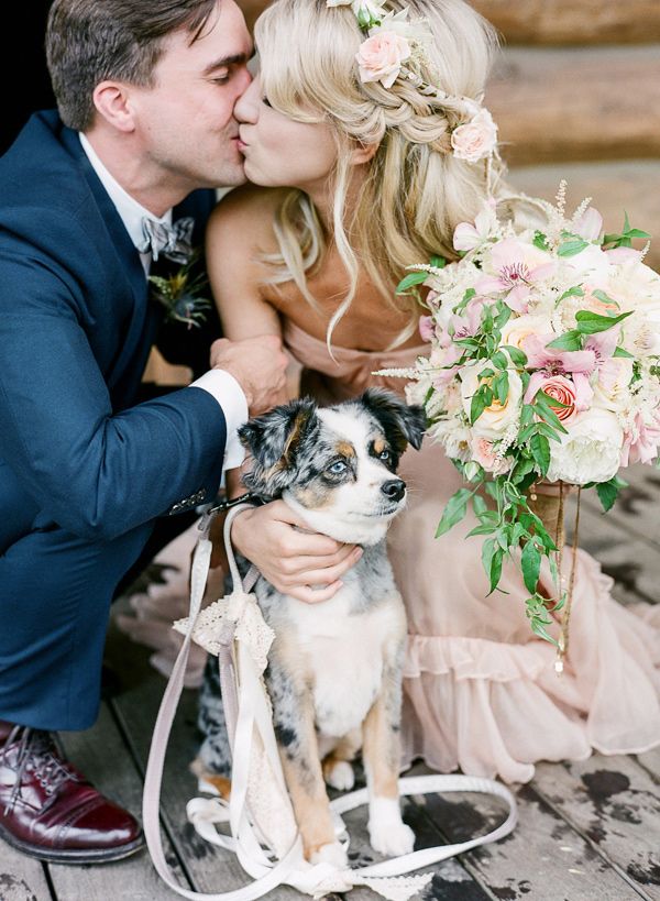 newlyweds and their pup