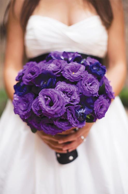 purple wedding ideas - dark purple single bloom wedding bouquet
