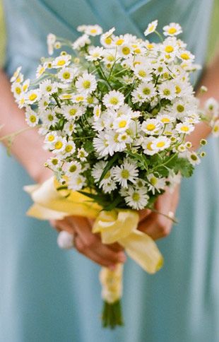 rustic wedding ideas - Daisies and Chamomile Wedding Bouquet