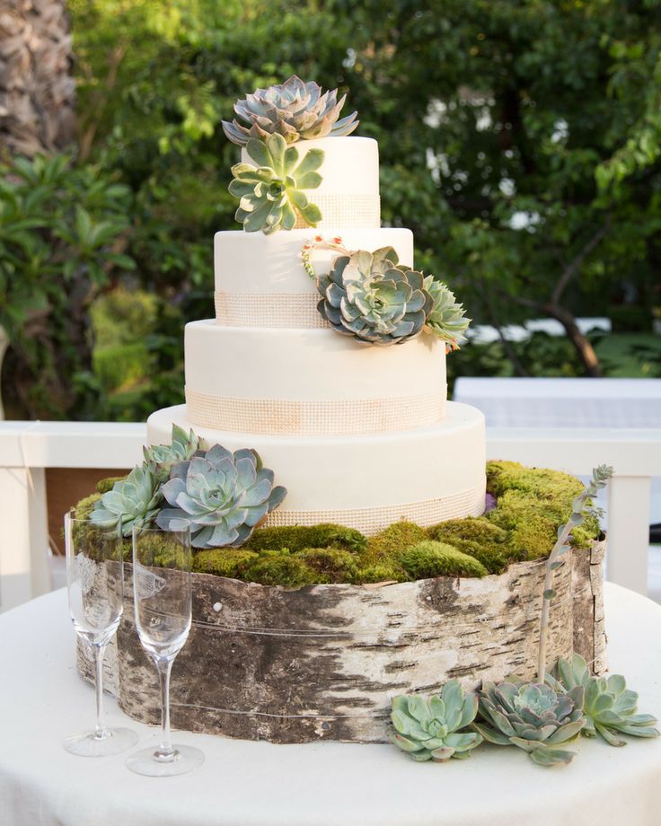 rustic wedding ideas-birch succulents wedding cake