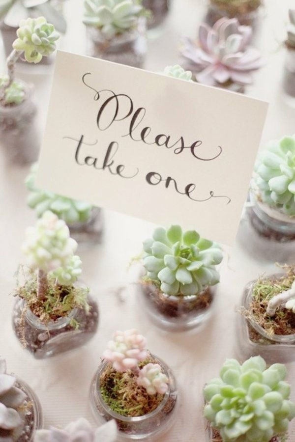 rustic wedding ideas-succulent wedding favor