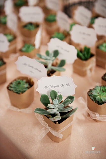 rustic wedding theme-succulent wedding favors and place cards