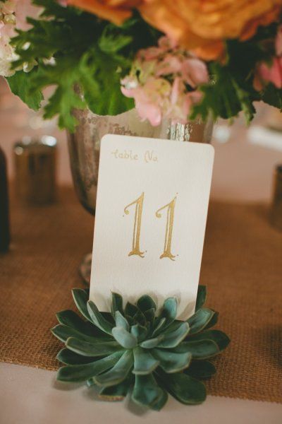 table numbers held in place by succulents