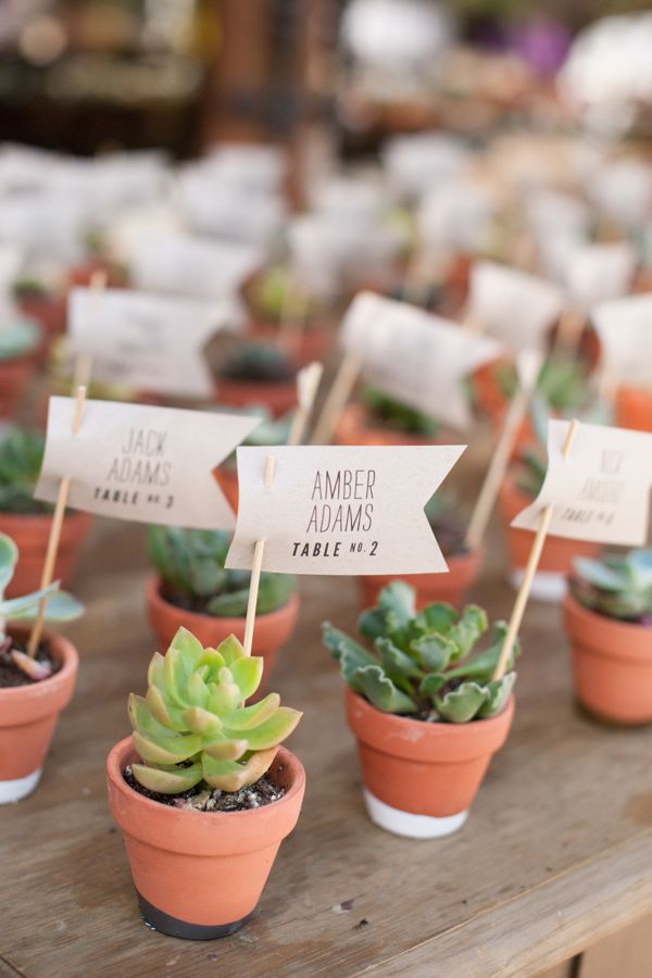 unique wedding favor ideas-potted succulents as escort cards and favors