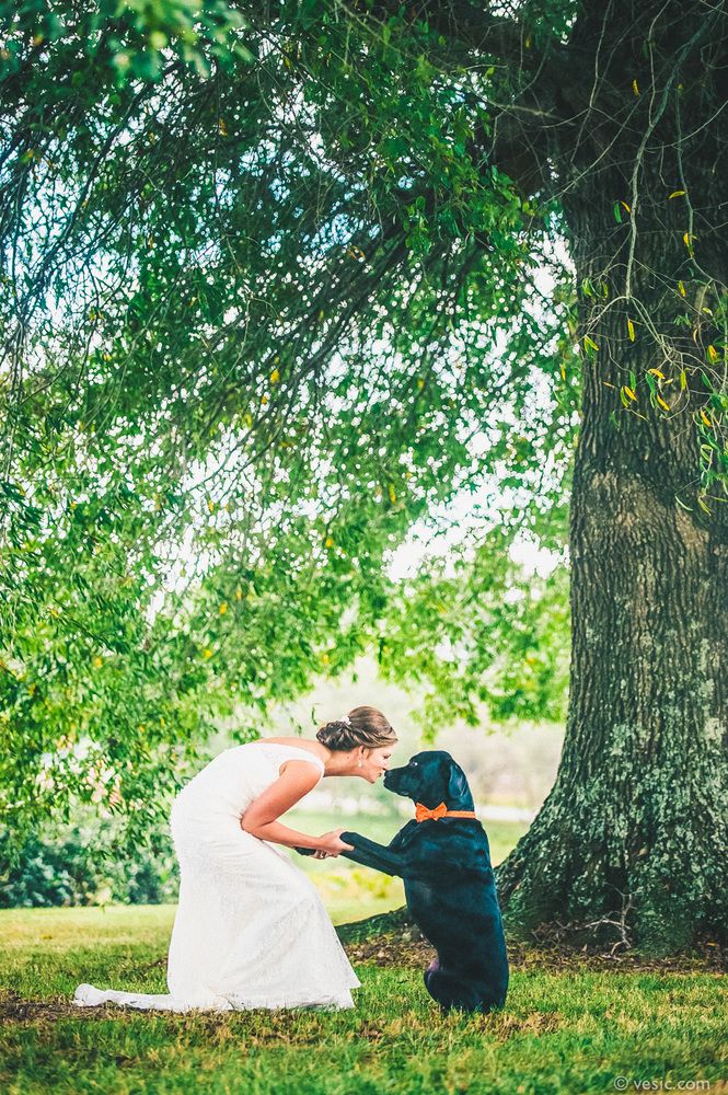 wedding photo ideas-bride kiss her puppy