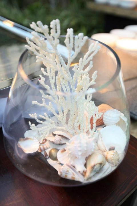 white coral beach wedding centerpiece ideas