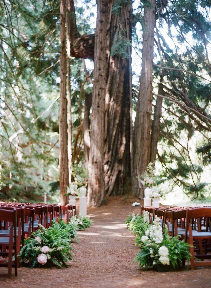 woodland wedding ideas