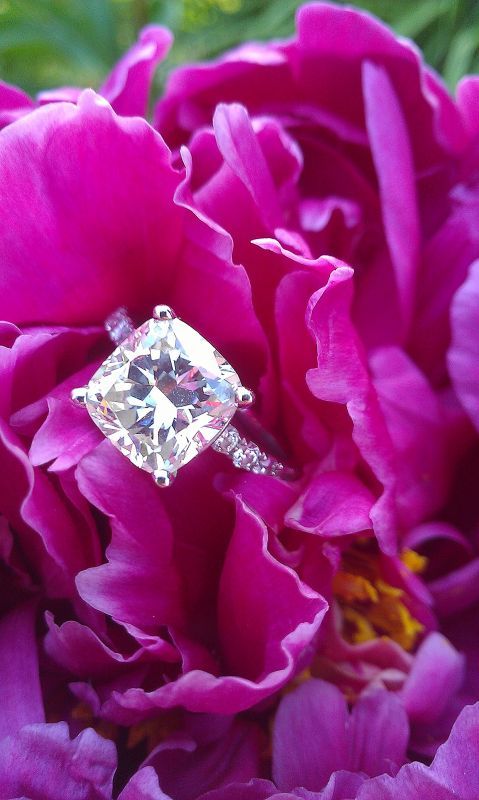 2+ carat cushion cut diamond engagement ring