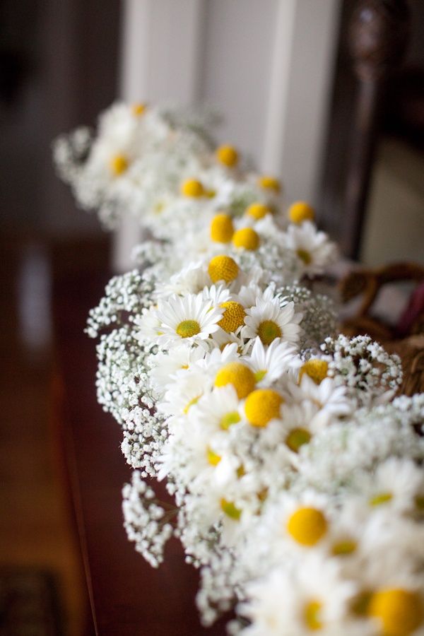 baby's breath billy balls and daisies wedding aisle