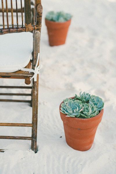 beach wedding ideas-potted succulents lining the aisle