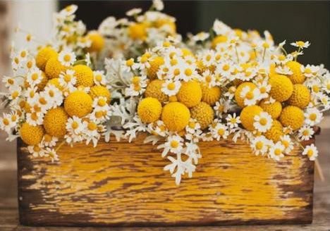 billy balls and daisies wedding centerpiece