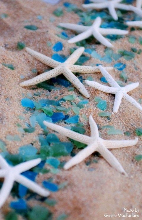 blue sea glass and white starfish beach wedding aisle