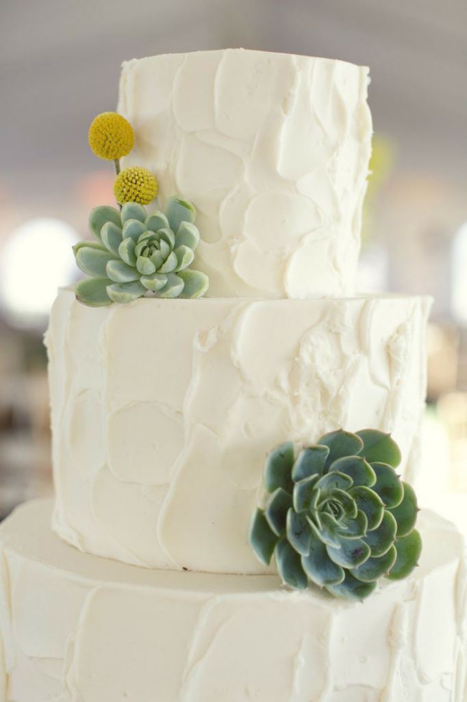 buttercream wedding cake with succulent and billy buttons