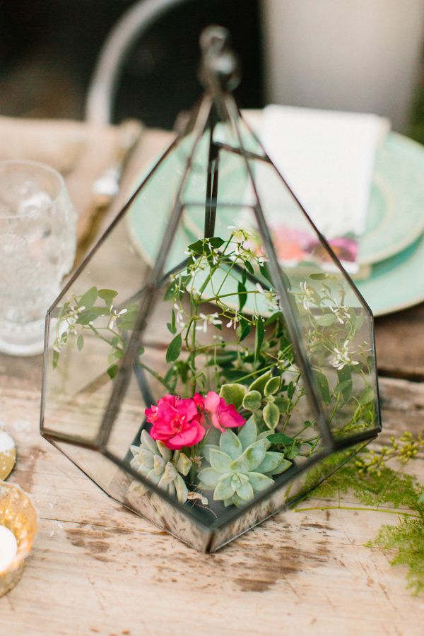 centerpieces contained in a glass terrarium