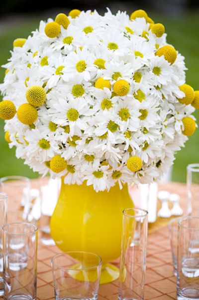 craspedia billy buttons billy balls with daisies wedding centerpiece