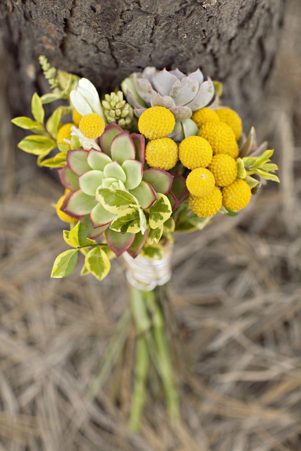 fall wedding bouquet-Succulent and billy button bouquet